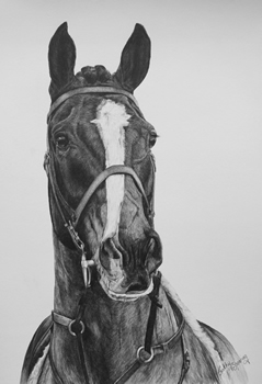 captain drawing